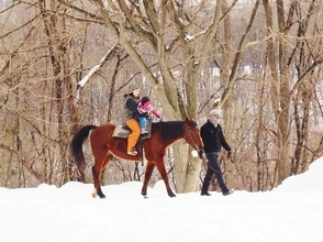 【12月ベストシーズンの国内旅行先】札幌の雪乗馬・東京のアイススケート・沖縄のホエールウォッチングなど今楽しみたいアクティビティ5選