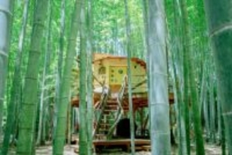 【25歳以下・学割プランで25％オフ】オールインクルーシブで楽しむ！ 動物園×竹林グランピング「THE BAMBOO FOREST」｜千葉県