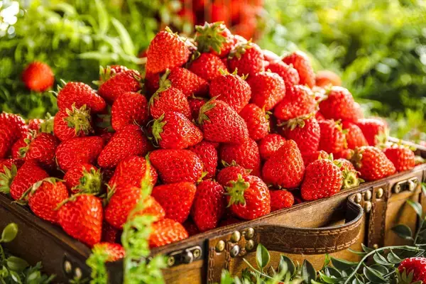 「フレッシュ苺も食べ放題！約15種類のスイーツがそろう「XEX 冬のストロベリーブッフェ」開催」の画像