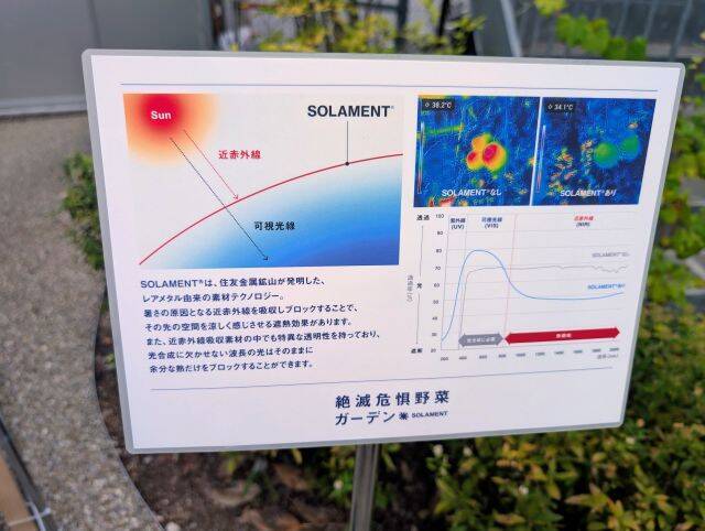 「絶滅危惧種」は野菜にもあった！酷暑を乗り越える素材「SOLAMENT」と楽しむ特別体験｜下北沢・BONUS TRACK