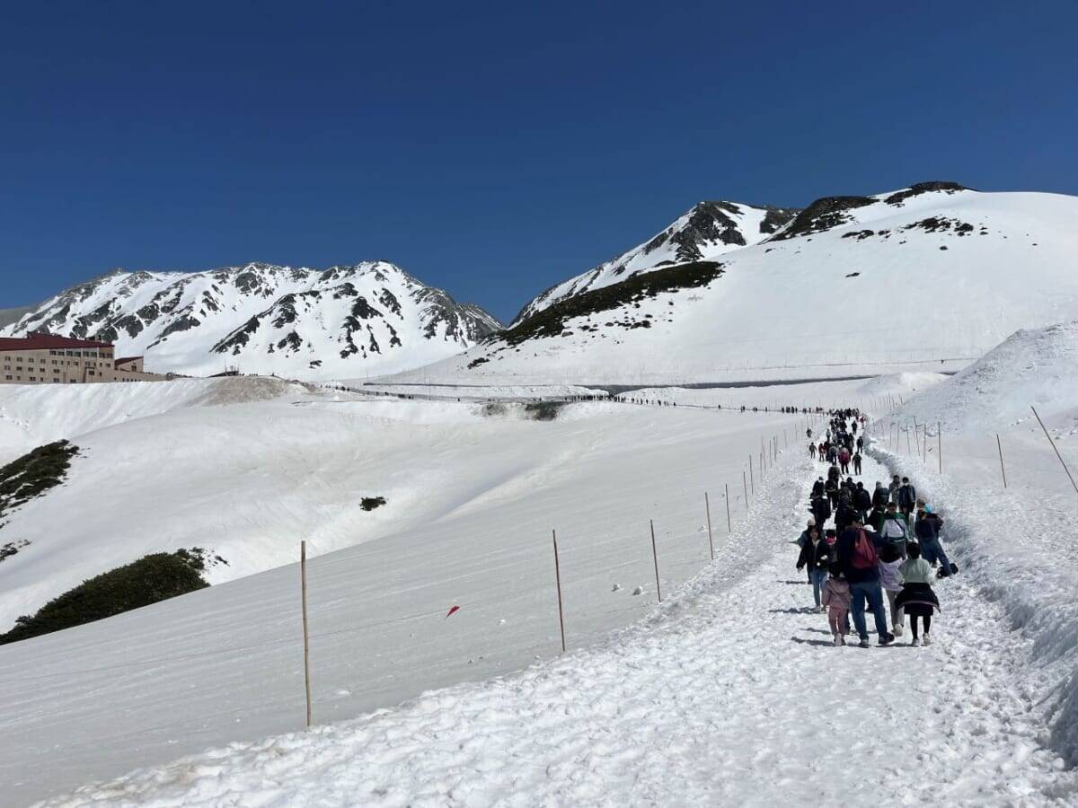 【立山黒部アルペンルートが全線開通】2024年 雪の大谷の高さは14m！春の立山を楽しむイベント開催中