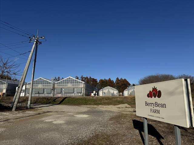【千葉で完熟イチゴの摘み取り体験】観光農園「BerryBeanFARM（ベリービーンファーム）」がオープン