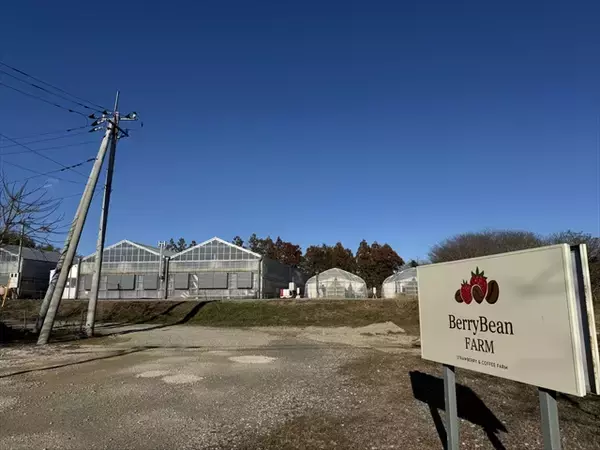 「【千葉で完熟イチゴの摘み取り体験】観光農園「BerryBeanFARM（ベリービーンファーム）」がオープン」の画像