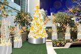 「2022年はホワイトゴールドがテーマ！「大名古屋クリスマスイルミネーション」開催」の画像2