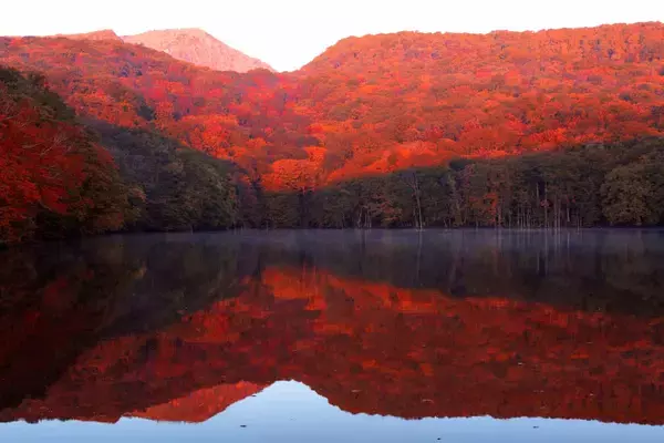 「【今週末見頃の紅葉スポット】宮城の鳴子峡・鳥取の大山・大分のくじゅう連山｜2022年10月29日〜」の画像