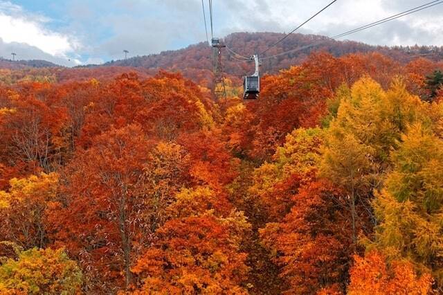 【今週末見頃の紅葉スポット】宮城の鳴子峡・鳥取の大山・大分のくじゅう連山｜2022年10月29日〜