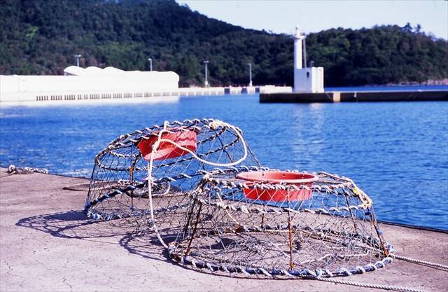 【島根県・隠岐諸島「松葉ガニ漁」解禁】鮮度と美しさが別格！その理由は伝統の篭漁にあった