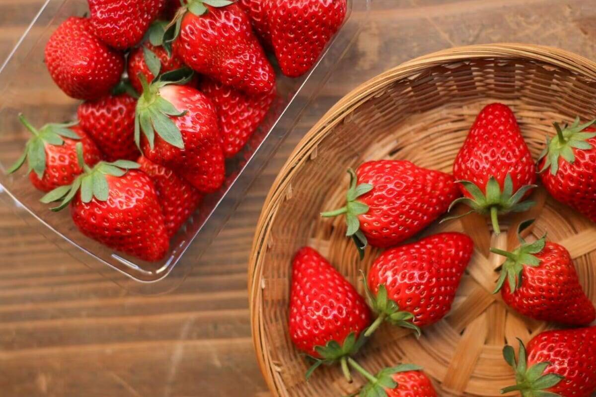 【季節限定】丹波いちごのアフタヌーンセットが初登場！春のいちごスイーツも｜中島大祥堂