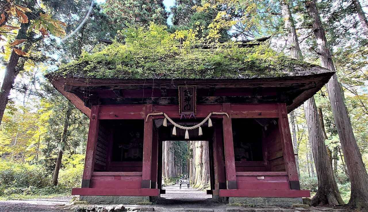 絶景と秘湯に出会う山旅（53）戸隠神社五社巡りと絵画のように美しい鏡池