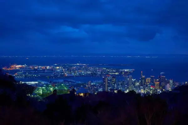 「夏の夜景やイルミネーションを満喫！絶景カフェテラス「ザ・ヴェランダ神戸」サンセット＆ナイト営業を開催中｜神戸布引ハーブ園」の画像