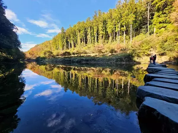 「【嵐山渓谷紅葉まつり・イベントDay】ご当地グルメのキッチンカーや農作物も買える！ ｜埼玉県」の画像