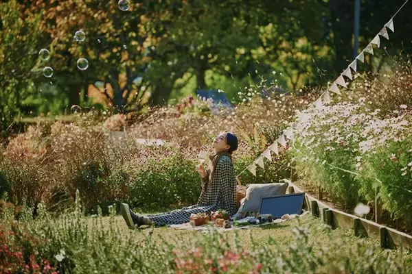 「【神戸布引ハーブ園】ガーデン散策や優雅なランチタイムで秋満喫「GARDEN FEST 2025-Autumn- のんびり、ぶらり、秋散歩」」の画像