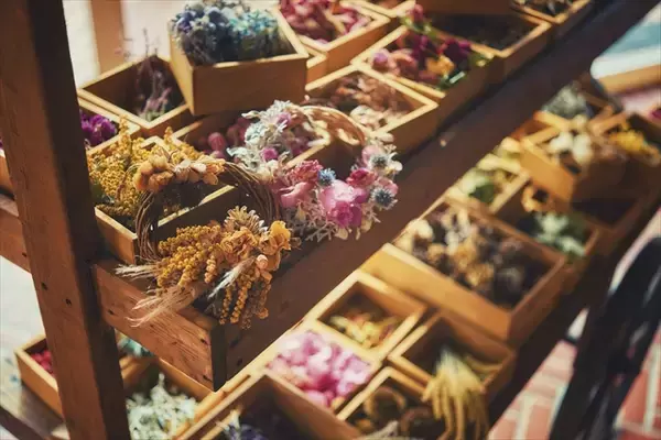 「【神戸布引ハーブ園】ガーデン散策や優雅なランチタイムで秋満喫「GARDEN FEST 2025-Autumn- のんびり、ぶらり、秋散歩」」の画像