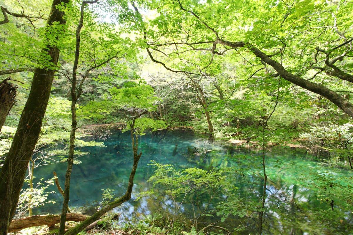 【車中泊の人気モデルコース「白神山地 1泊2日」ドライブ旅】神秘の十二湖巡りと道の駅はしごでご当地グルメ三昧