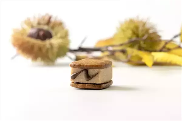 「【秋限定バターサンドが新発売】ぶどう山椒・和栗・かぼちゃなど新フレーバー3種｜和歌山バターサンド専門店101」の画像