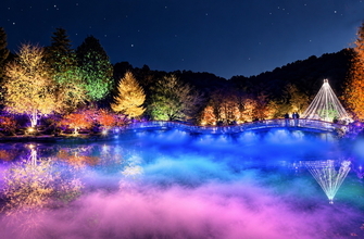 【町田】幻想的な雲海と紅葉ライトアップも！流鏑馬（やぶさめ）や秋グルメなど注目イベントが盛りだくさん