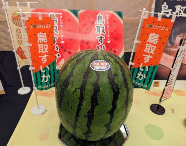 【1日15食限定ランチ】鳥取×熊本のブランド和牛＆スイカを味わう贅沢ごちそう御膳を実食ルポ