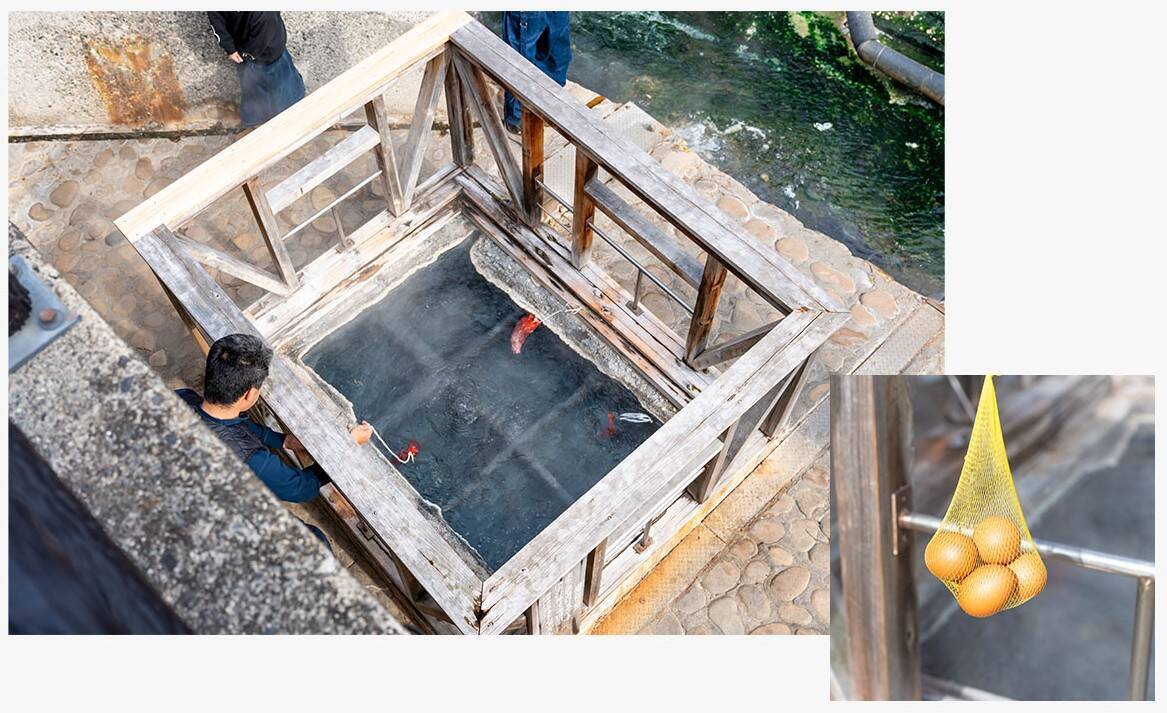 一生に一度は歩くべき世界遺産。自然と神話が息づく熊野古道でご利益を賜る巡礼の旅