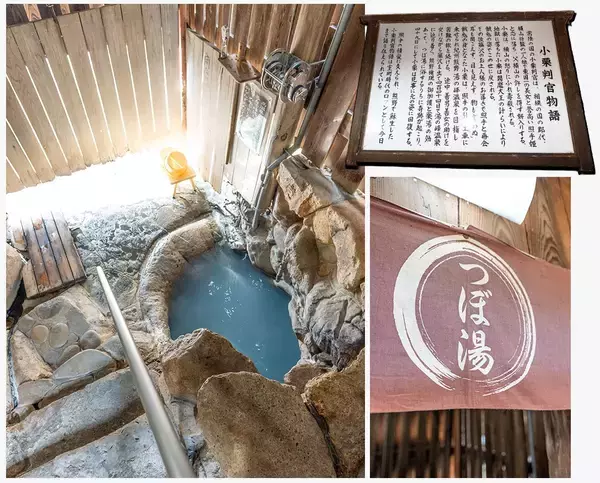 「一生に一度は歩くべき世界遺産。自然と神話が息づく熊野古道でご利益を賜る巡礼の旅」の画像