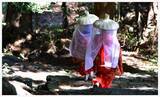 「一生に一度は歩くべき世界遺産。自然と神話が息づく熊野古道でご利益を賜る巡礼の旅」の画像2
