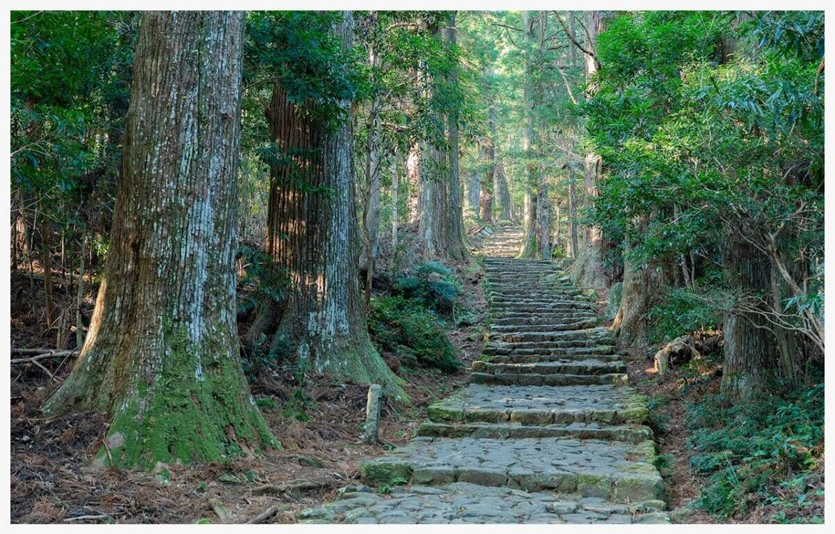 一生に一度は歩くべき世界遺産。自然と神話が息づく熊野古道でご利益を賜る巡礼の旅