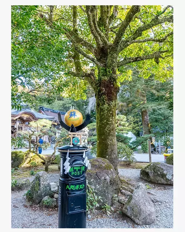 「一生に一度は歩くべき世界遺産。自然と神話が息づく熊野古道でご利益を賜る巡礼の旅」の画像