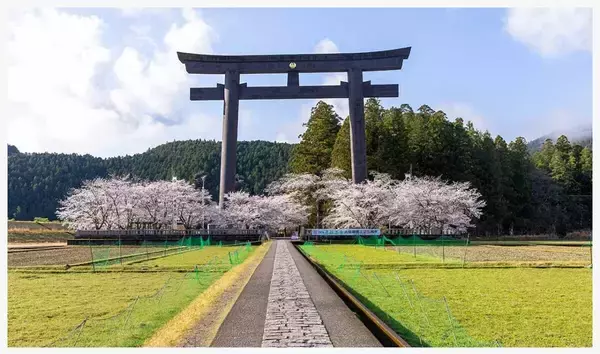 「一生に一度は歩くべき世界遺産。自然と神話が息づく熊野古道でご利益を賜る巡礼の旅」の画像