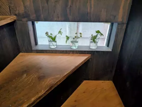 「【千駄木の古民家カフェ「雨音茶寮」とフレシャスがコラボ！】こだわり抜いたのは“水”みずしさ！夏季限定の冷茶と和菓子が登場」の画像