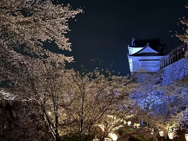 「【岡山県でお花見するならここ！】日本三名園・岡山後楽園から海の絶景まで！春の桜スポット5選」の画像