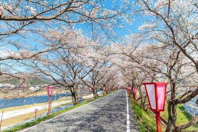 【岡山県でお花見するならここ！】日本三名園・岡山後楽園から海の絶景まで！春の桜スポット5選