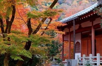 【今週末見頃の紅葉スポット】埼玉の長瀞・京都の清水寺・鹿児島の霧島神宮｜2022年11月19日〜