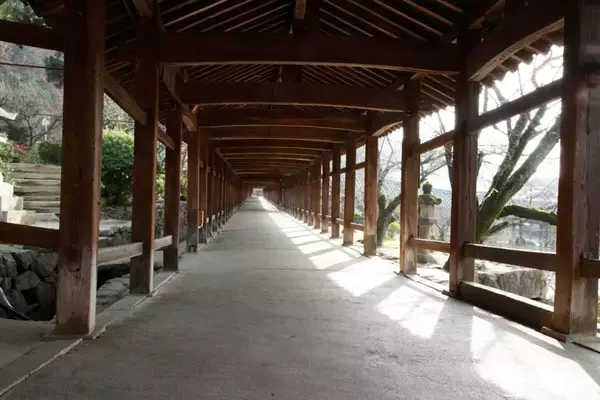 「【吉備津神社で「奉祝相撲祭り」開催】見どころは力士の土俵入りと取組！ちゃんこの振る舞いもあり｜岡山県」の画像