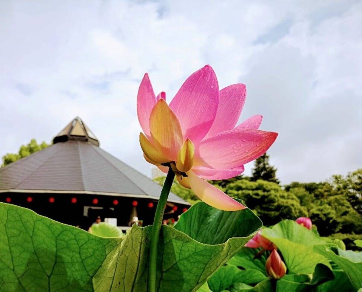 ジェフ千葉J1昇格記念【2026年GWはペリエ千葉へGO！選手のサインが当たるかも！？】千葉駅周辺の散策スポットも紹介