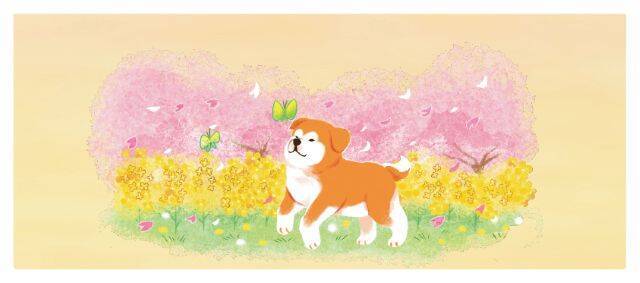 【ヨックモック】秋田犬が可愛い！地域限定デザイン缶「プティ シガール Akita ～Four Seasons Story～」9月1日発売