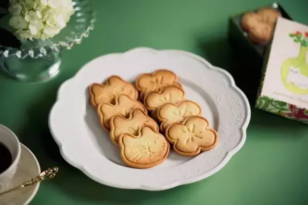 「【東京初登場】オンラインで人気！岡山発「ガジュマルチーズケーキ」が新宿マルイに期間限定出店」の画像