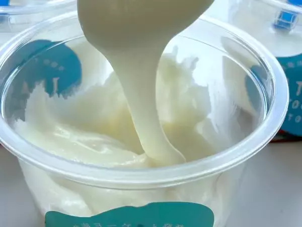 「【“3段変化ヨーグルト”って何！？】熱海の行列店が手がける新店「熱海ヨーグルト&アイス 2 GO.」で限定メニューを実食｜静岡県」の画像