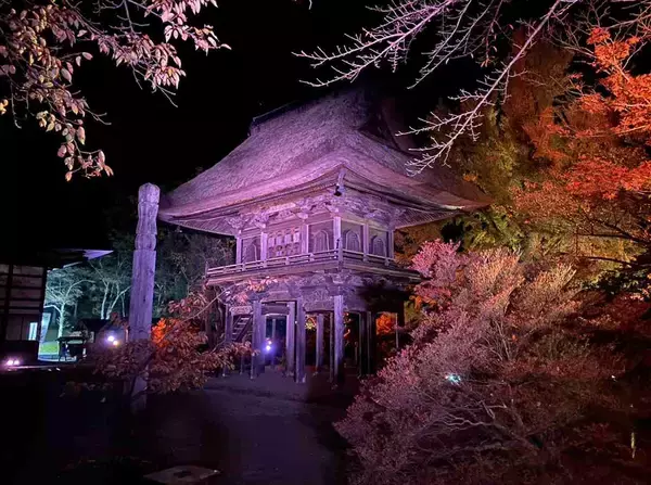 「3年ぶりに開催！長野県最古の曹洞宗寺院・霊松寺で紅葉ライトアップ」の画像