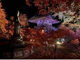 「3年ぶりに開催！長野県最古の曹洞宗寺院・霊松寺で紅葉ライトアップ」の画像2