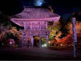 「3年ぶりに開催！長野県最古の曹洞宗寺院・霊松寺で紅葉ライトアップ」の画像3