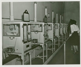 【時代を先駆けたニューヨーカー】6500名の小さな生命を温め続けた人