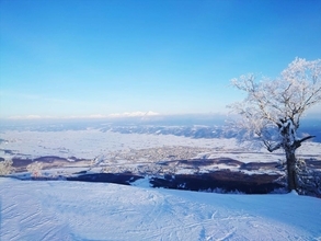 冬の北海道・富良野を満喫する！ワイナリーツアー＆フォトツアー参加者募集中