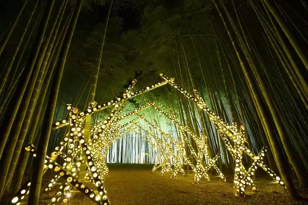 【弘前城菊と紅葉まつり】弘前公園が秋色に染まる！紅葉ライトアップや舟体験も｜青森県