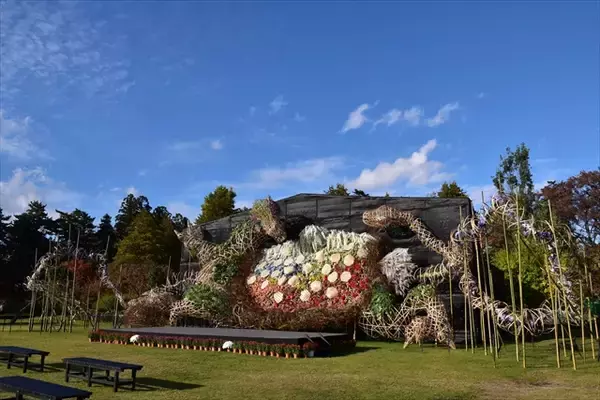 「【弘前城菊と紅葉まつり】弘前公園が秋色に染まる！紅葉ライトアップや舟体験も｜青森県」の画像