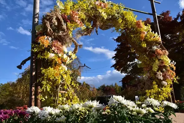 「【弘前城菊と紅葉まつり】弘前公園が秋色に染まる！紅葉ライトアップや舟体験も｜青森県」の画像
