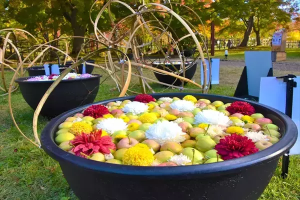 「【弘前城菊と紅葉まつり】弘前公園が秋色に染まる！紅葉ライトアップや舟体験も｜青森県」の画像