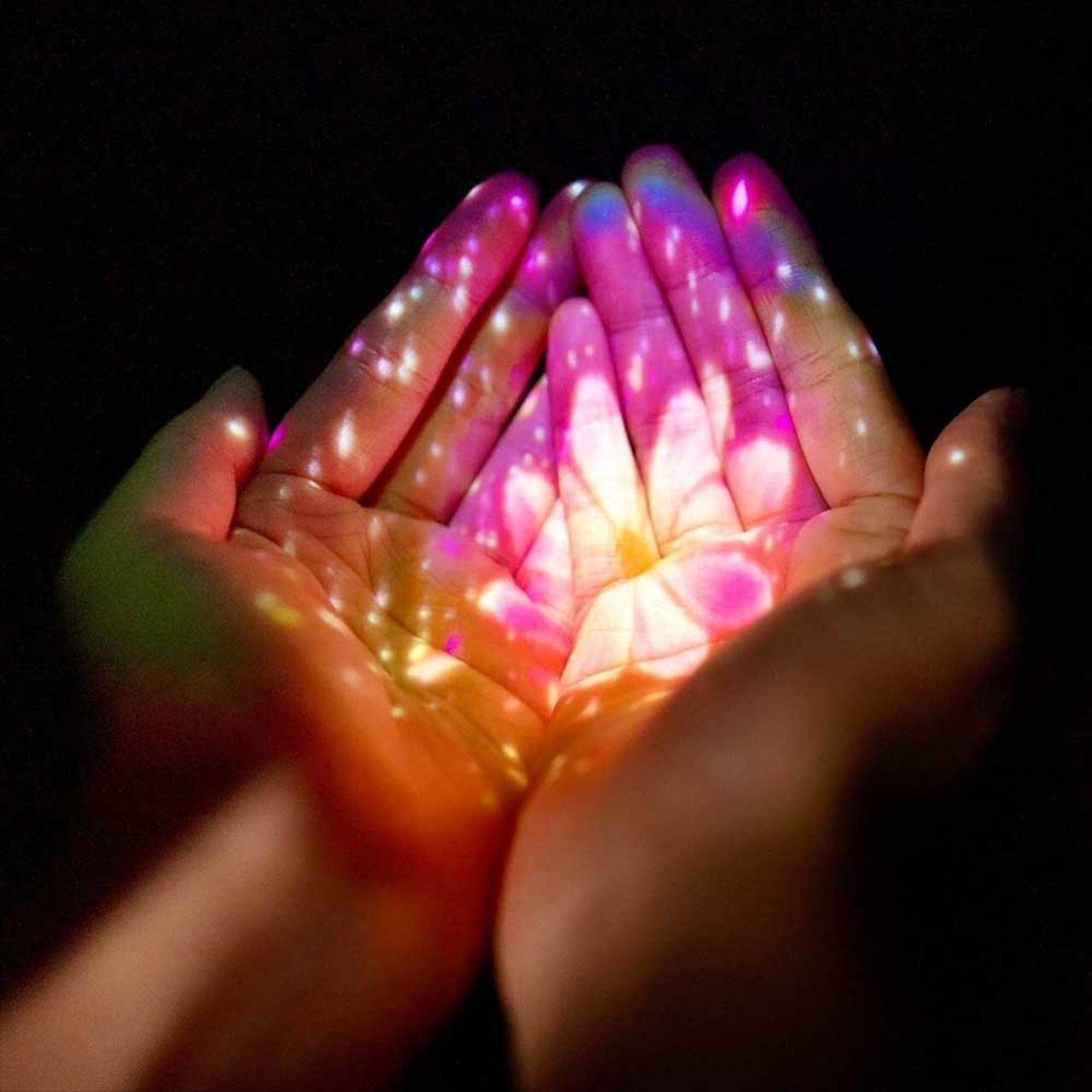 【京都・柳谷観音】美しい花手水でおなじみ「紅葉ウイーク」開催中！上書院特別公開・限定御朱印も