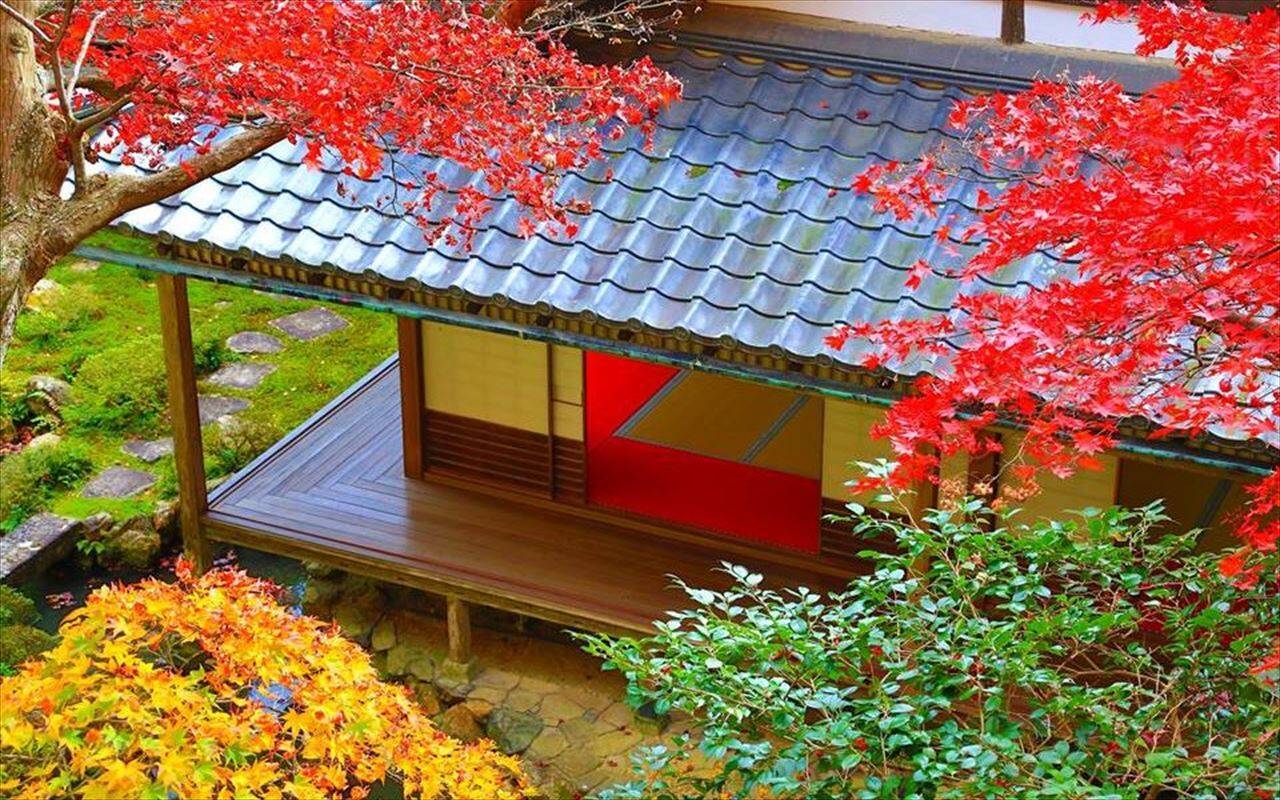 【京都・柳谷観音】美しい花手水でおなじみ「紅葉ウイーク」開催中！上書院特別公開・限定御朱印も