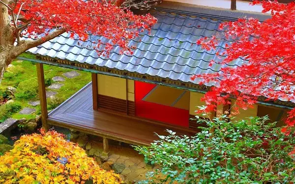 「【京都・柳谷観音】美しい花手水でおなじみ「紅葉ウイーク」開催中！上書院特別公開・限定御朱印も」の画像