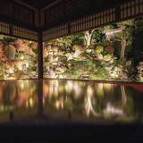 「【京都・柳谷観音】美しい花手水でおなじみ「紅葉ウイーク」開催中！上書院特別公開・限定御朱印も」の画像9