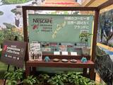 「希少な沖縄産のコーヒーに魅せられる！ネスカフェ 原宿で貴重なコーヒー焙煎体験に挑戦」の画像2